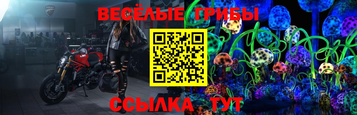 Галлюциногенные грибы MAGIC MUSHROOMS Новокубанск